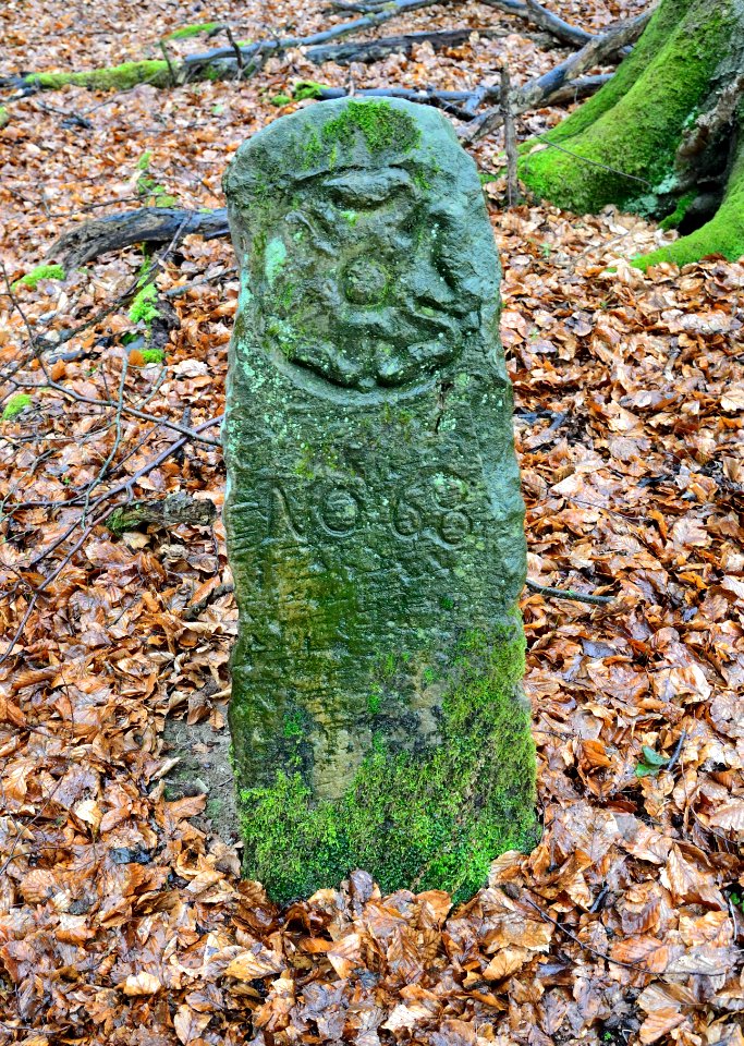 Horn - Grenzstein 68 (6)