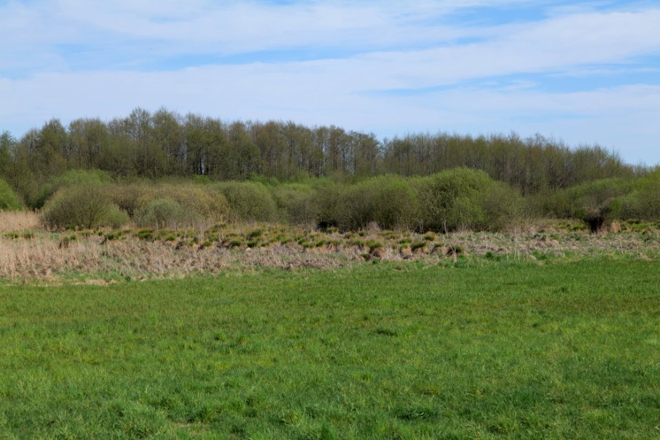 Horstfelder und Hechtsee 2021-05-09 13