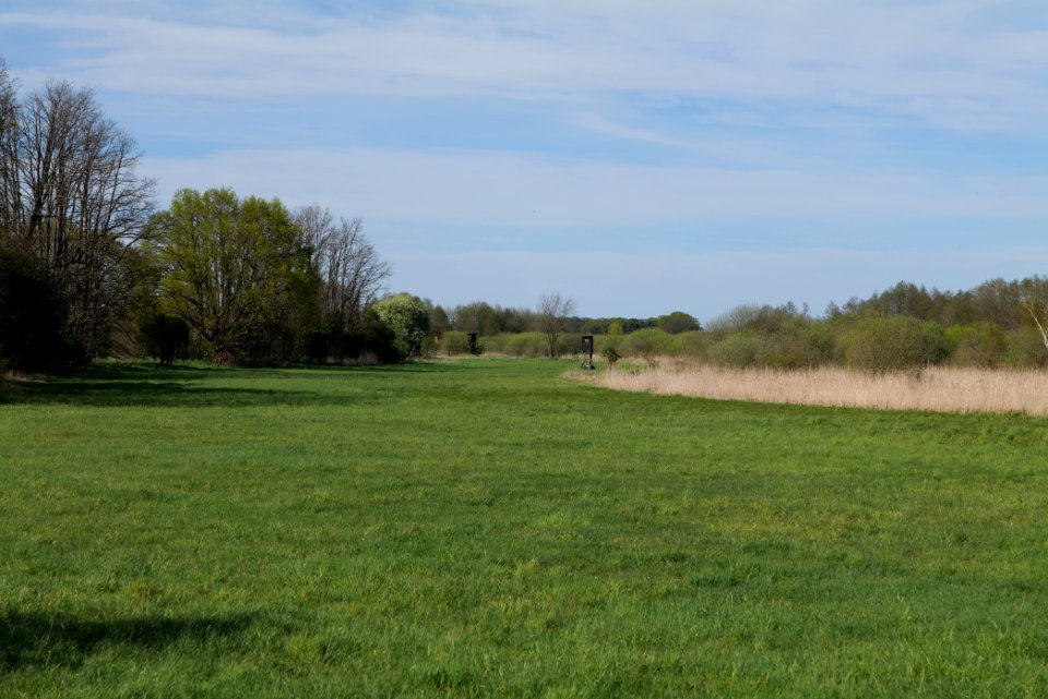 Horstfelder und Hechtsee 2021-05-09 04