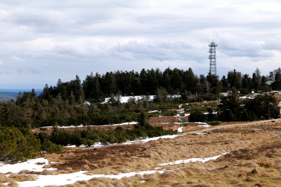 Hornisgrinde bog 2020-03-14 07