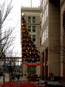 Horne's Christmas Tree, 2019-12-10, 01