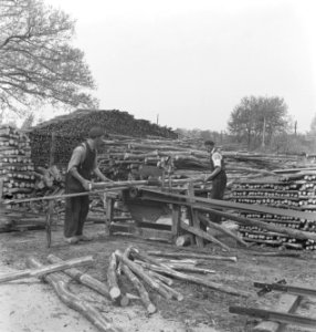 Houtopslagplaatsen, boomstammen, arbeiders, Bestanddeelnr 251-8452