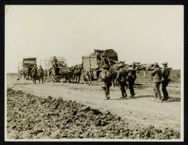 Horse ambulance waiting on an open track, with a streched case just arriving, Bestanddeelnr 158-1034