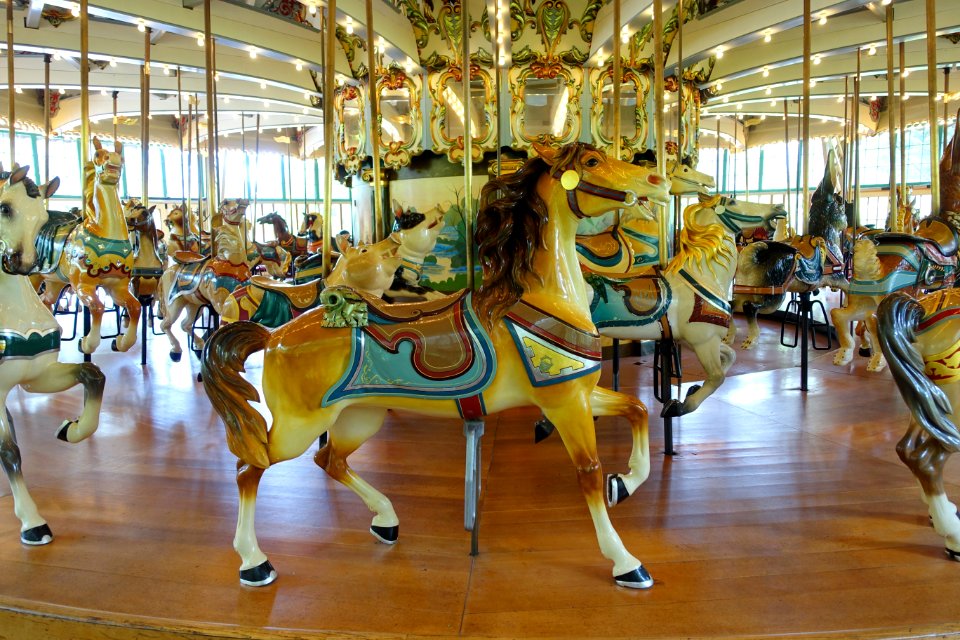 Horse - Dentzel Carousel, San Francisco Zoo - San Francisco, CA - DSC03434