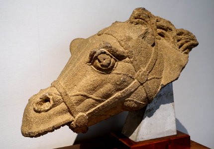 Horse head, excavated from the coast of Asia Minor, Eastern Mediterranean Sea, Hellenistic period, c. 3rd century BC, gray basalt - Matsuoka Museum of Art - Tokyo, Japan - DSC06991
