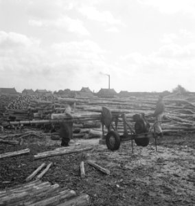 Houtopslagplaatsen, boomstammen, arbeiders, Bestanddeelnr 251-9749