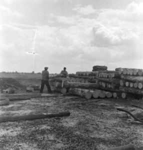 Houtopslagplaatsen, boomstammen, arbeiders, Bestanddeelnr 251-8497