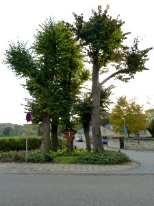 Houthem-Wegkruis Putweg-Vroenhof (1)
