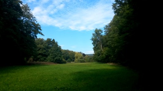 Hornau, Braubachtal bei Hornau (1)
