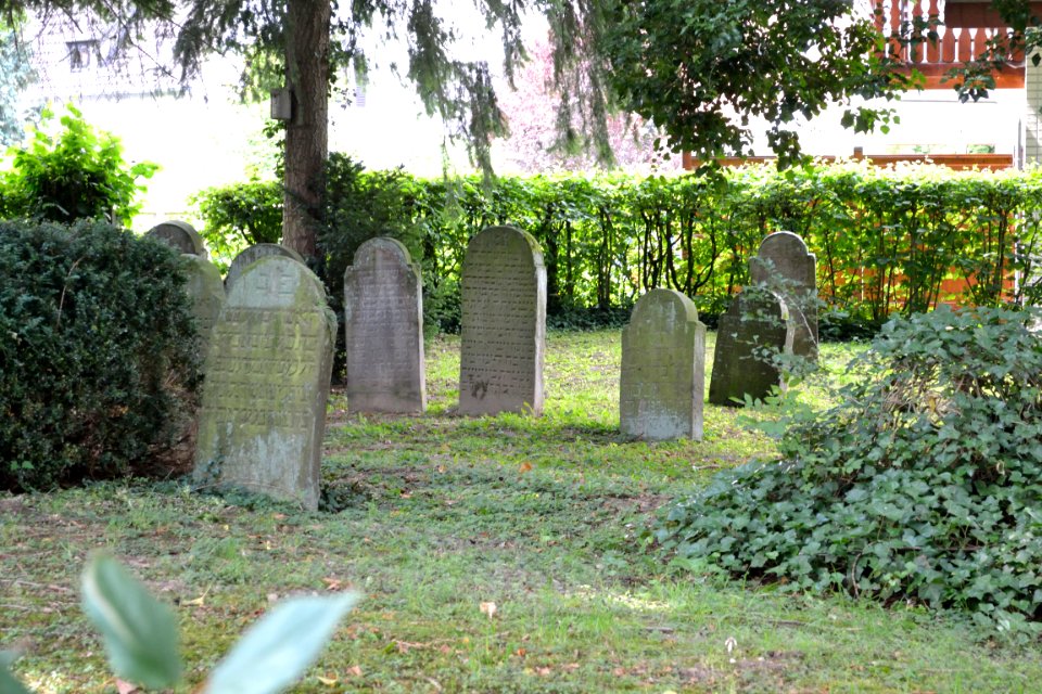 Horn - 01.39 - Jüdischer Friedhof Paderborner Str. (7)