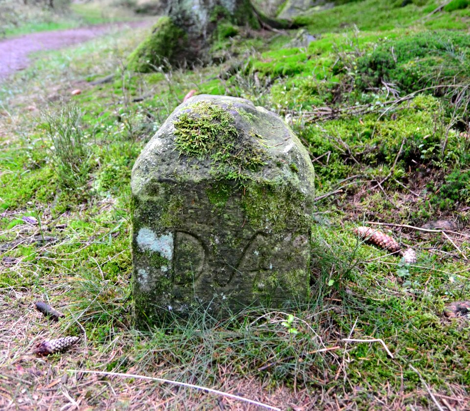 Horn - Markierungsstein Velmerstot (1)