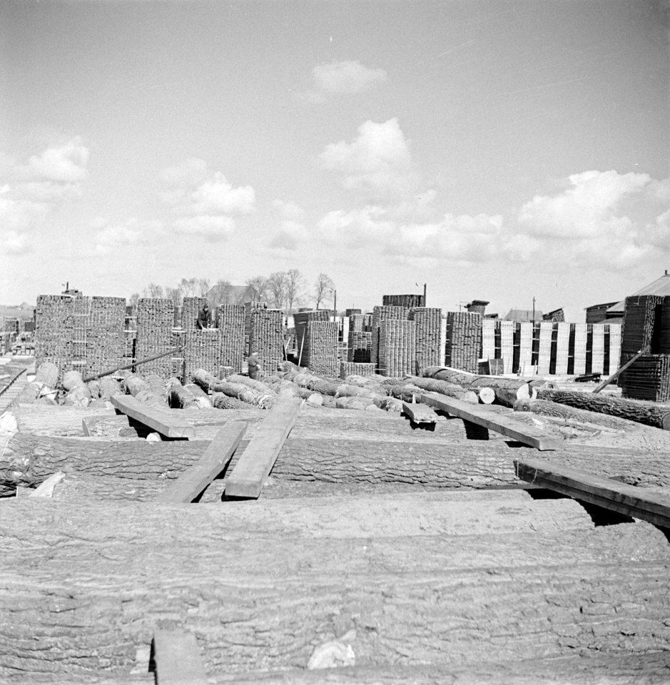 Houtopslag met op de voorgrond boomstammen en op de achtergrond stapels planken, Bestanddeelnr 191-0641