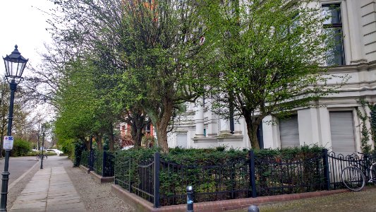 Hornstr. 23 vorgarten