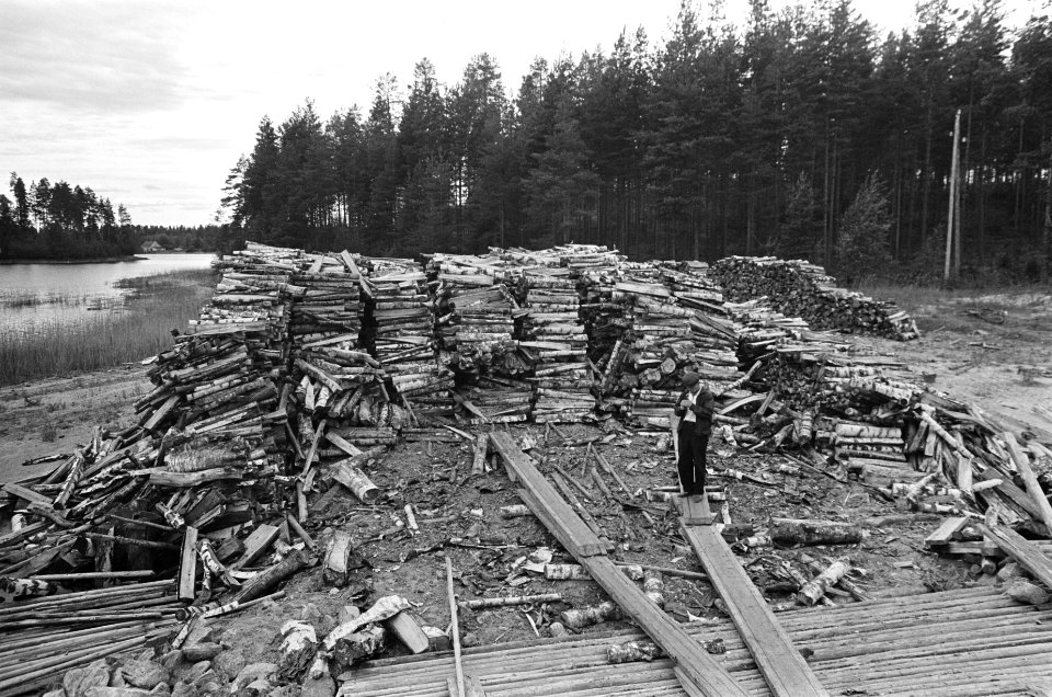 Hout gereed voor transport, Bestanddeelnr 920-4742
