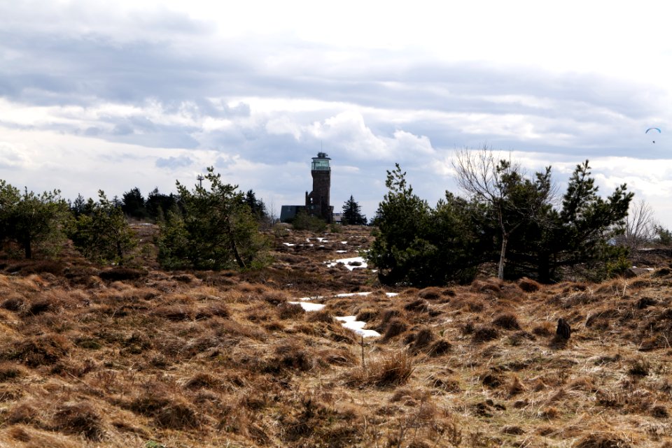 Hornisgrinde bog 2020-03-14 02
