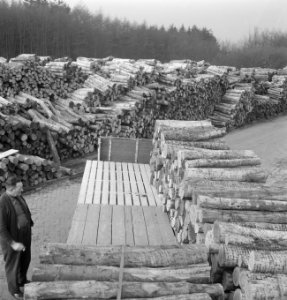 Houtopslagplaatsen, boomstammen, karren, arbeiders, Bestanddeelnr 253-5472