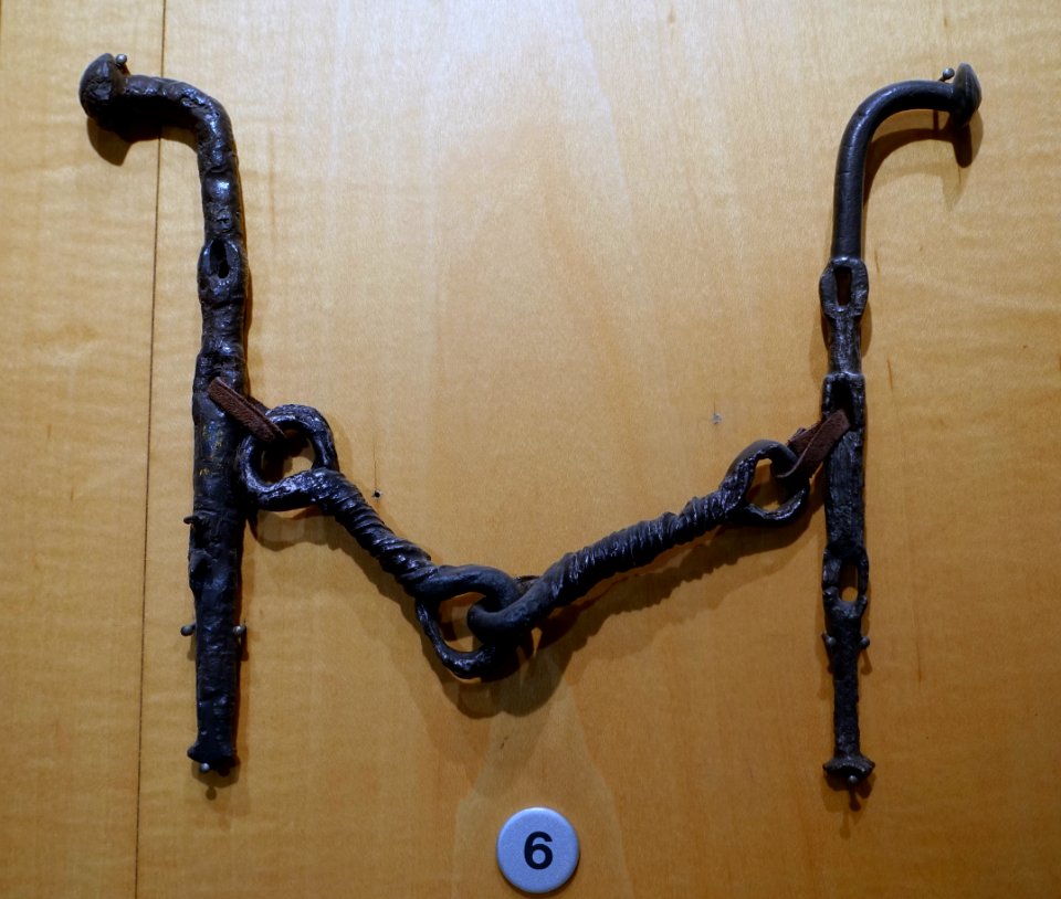 Horse bit, from tomb 3 of the Court-Saint-Etienne-champ de la Ferme Rouge, c. 650-500 BC, iron - Cinquantenaire Museum - Brussels, Belgium - DSC08699
