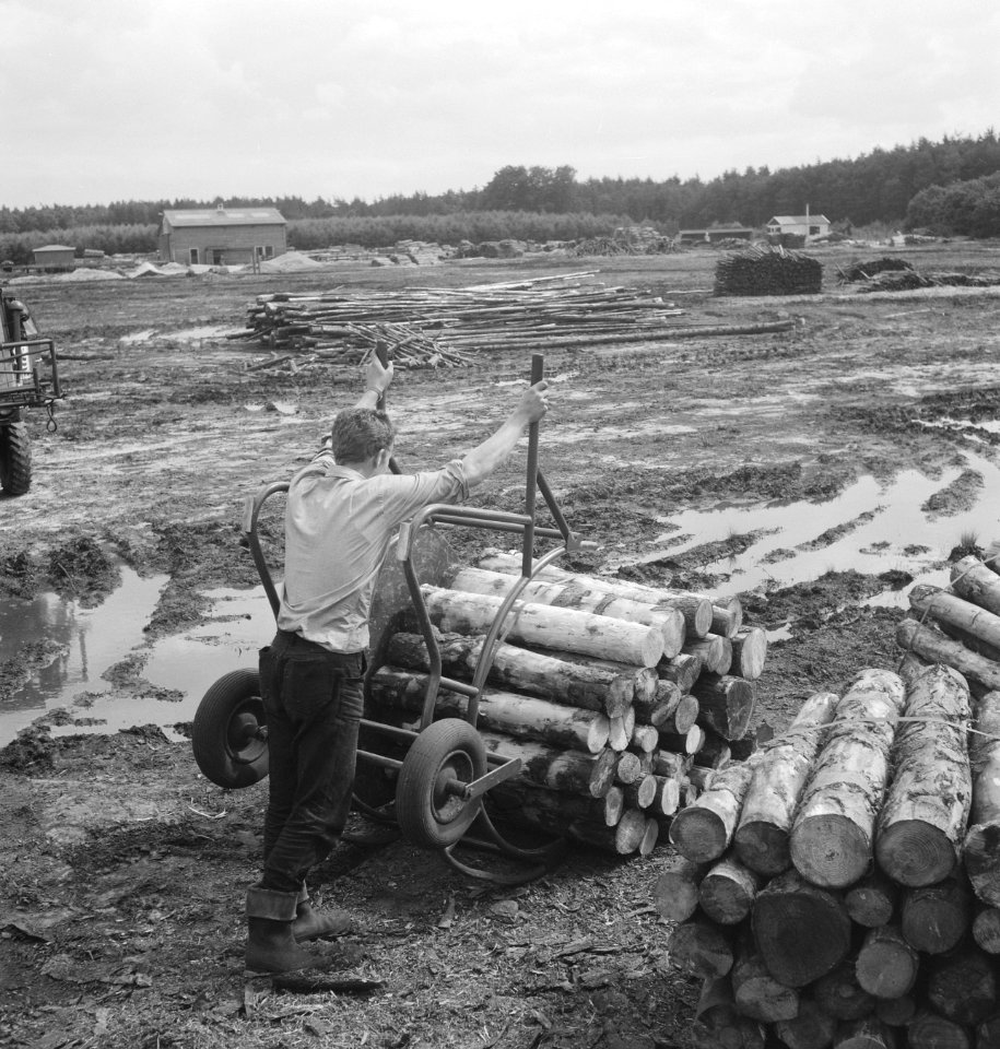 Houtbewerking, arbeiders, karren, boomstammen, kruiwagens, Bestanddeelnr 253-5194