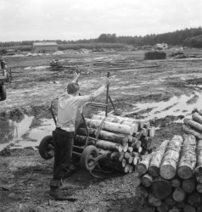 Houtbewerking, arbeiders, karren, boomstammen, kruiwagens, Bestanddeelnr 253-5194
