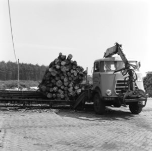 Houtbewerking, houtsorteerbedrijven, stammen, trailers, bundels, dwarstransporte, Bestanddeelnr 165-1019