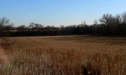 Horse Creek site (Nance County, Nebraska) (1)