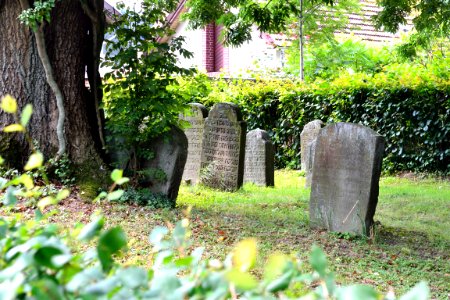Horn - 01.39 - Jüdischer Friedhof Paderborner Str. (8)