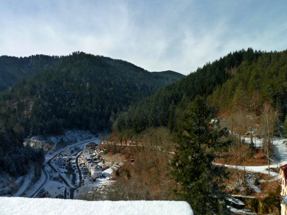 Hornberg-nebental-burgzufahrt