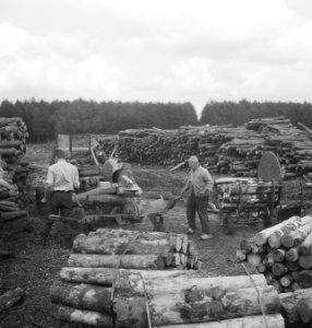 Houtbewerking, arbeiders, karren, boomstammen, kruiwagens, houtopslagplaatsen, Bestanddeelnr 253-5196