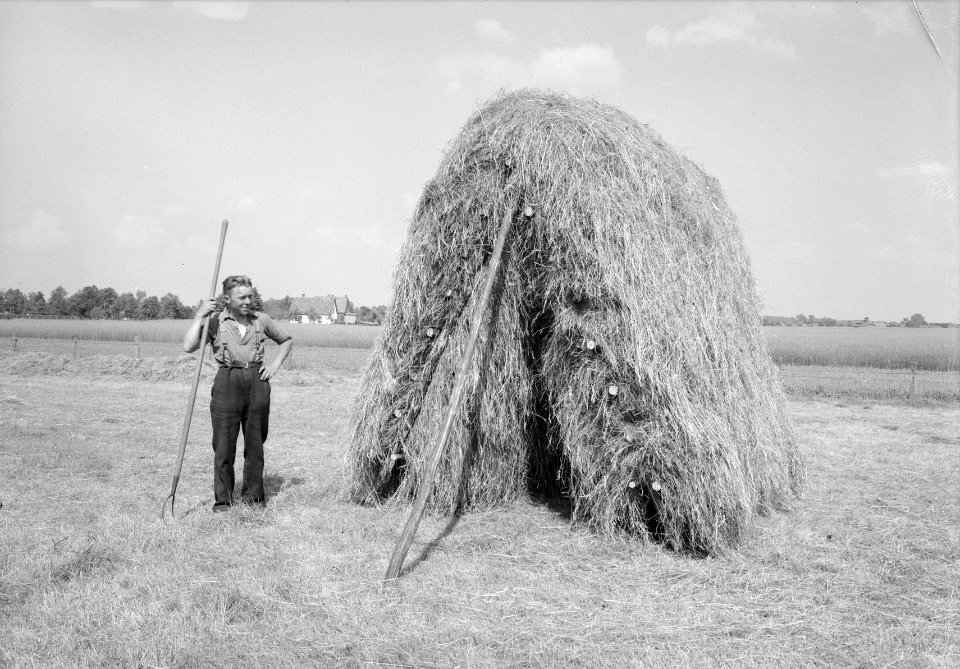 Houtbewerking, grote dakruiter, beladen, mannen, Bestanddeelnr 165-0540
