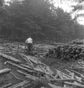 Houtopslagplaatsen, arbeiders, werkzaamheden, Bestanddeelnr 251-8467