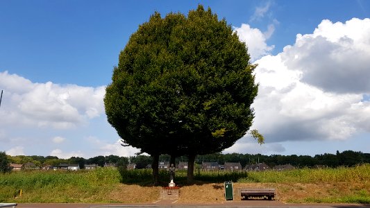 Houthem-wegkruis Onderstestraat-Sint Gerlach (3)