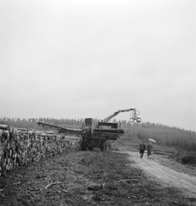 Houtopslagplaatsen, bosbewerking, wandelaars, machines, Bestanddeelnr 253-5290