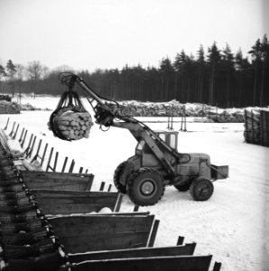 Houtbewerking, boomstammen, lopende banden, sneeuw, Bestanddeelnr 253-6291