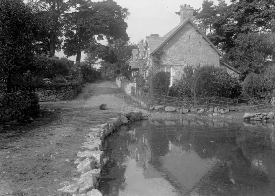 House with pond (1294810)