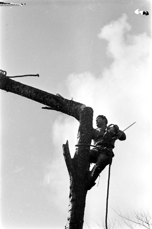 Houthakker aan het werk in de tuin, Bestanddeelnr 921-1644