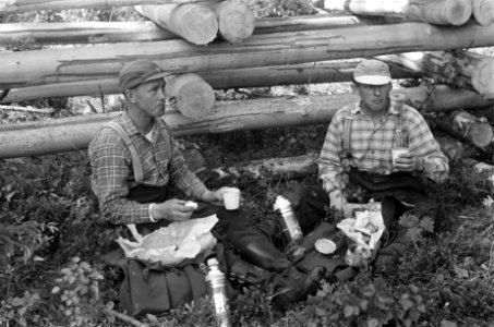 Houthakkers aan de lunch tussen boomstammen, Bestanddeelnr 920-4723