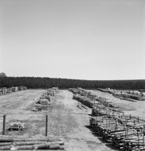 Houtopslagplaatsen, overzichten, Bestanddeelnr 251-9943
