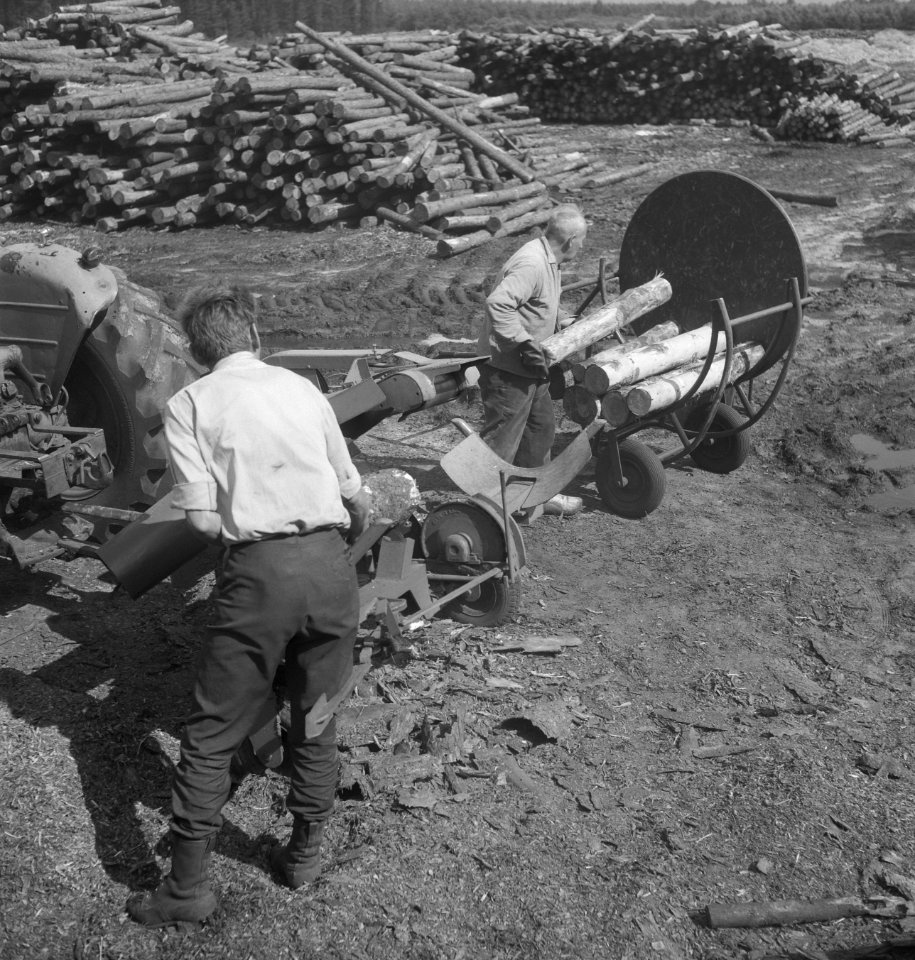 Houtbewerking, arbeiders, karren, boomstammen, kruiwagens, Bestanddeelnr 253-5195