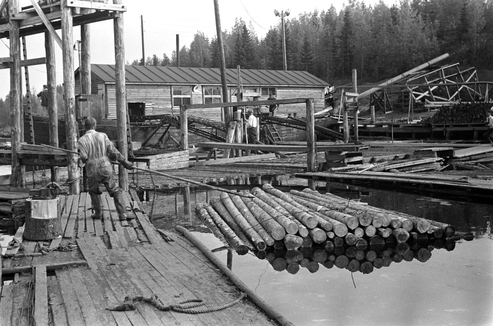 Houtfabricage, bomen schillen, Bestanddeelnr 920-4718