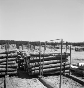 Houtopslagplaatsen, overzichten, Bestanddeelnr 251-9944