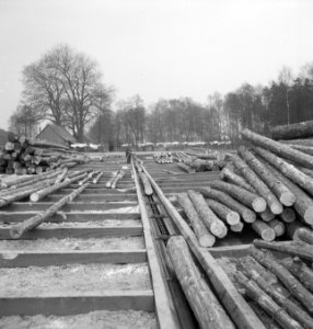 Houtopslagplaatsen, houtbewerking, boomstammen, lopende banden, Bestanddeelnr 253-4366