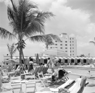 Hotel in Miami Beach, Bestanddeelnr 191-0789