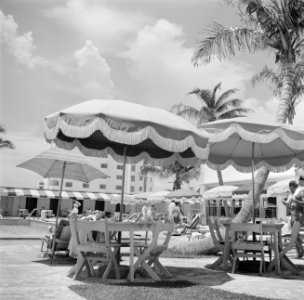 Hotel in Miami Beach, Bestanddeelnr 191-0787