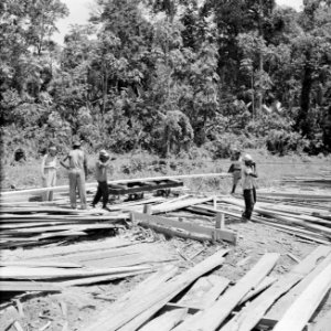 Houtfabriek in Suriname, Bestanddeelnr 252-2440