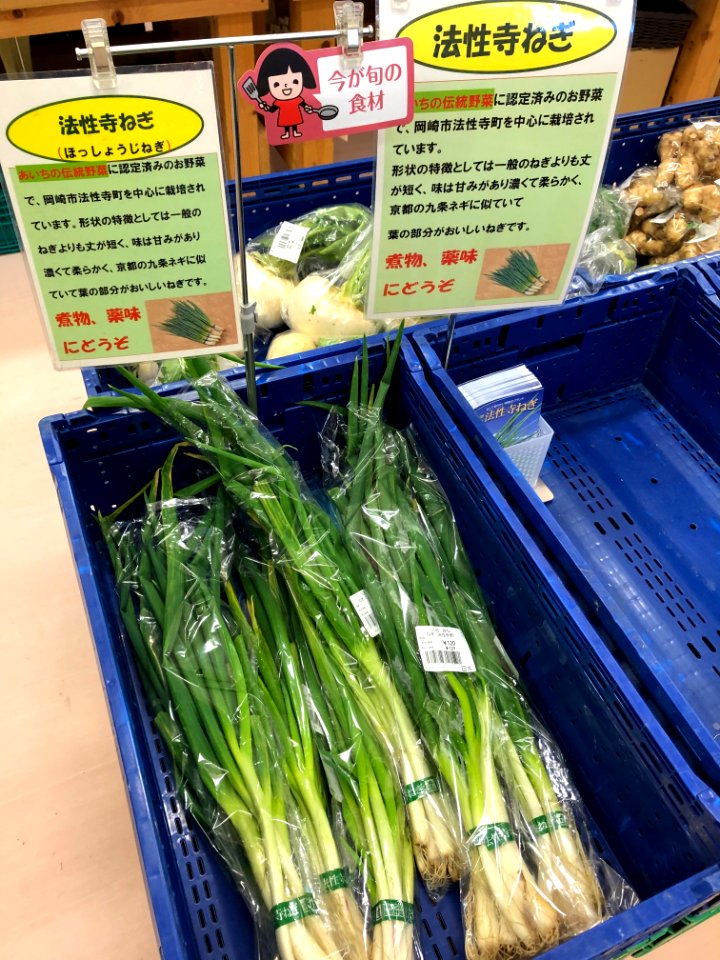 Hosshoji-Negi-1