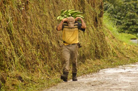 Field finlandia quindio