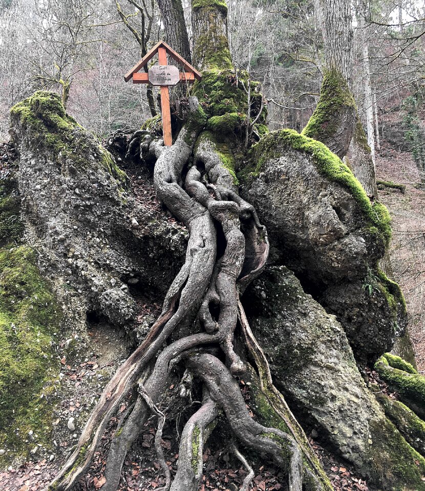 Contour rooted mystical