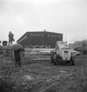 Houtbewerking, voertuigen, boomstammen, transporten, mensen, paraplus, Bestanddeelnr 253-5355
