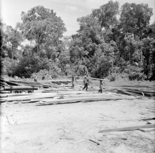 Houtfabriek in Suriname, Bestanddeelnr 252-2441