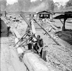 Houtfabriek in Suriname, Bestanddeelnr 252-2435